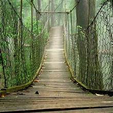 Lolegaon Canopy Walk